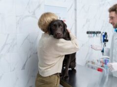 Inscripciones para jornada de esterilización en Tocancipá