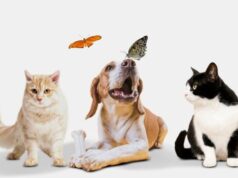 Jornadas gratuitas este 20 y 21 de marzo