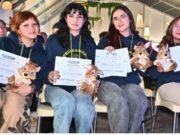 Más de 1.200 jóvenes ingresan al programa de educación superior en Cundinamarca