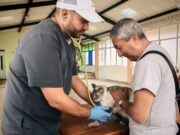 Más de 50 animales atendidos en Bosachoque