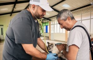 Más de 50 animales atendidos en Bosachoque