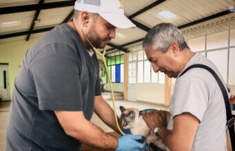 Más de 50 animales atendidos en Bosachoque