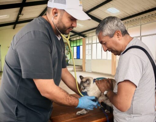 Más de 50 animales atendidos en Bosachoque