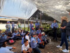 Niños y jóvenes participan en jornada forestal y ambiental en Cajicá
