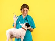 Vacunación gratuita antirrábica para perros y gatos en Madrid