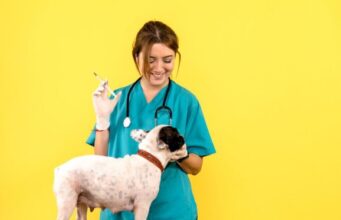 Vacunación gratuita antirrábica para perros y gatos en Madrid