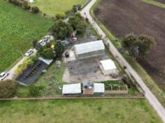 Viveros fortalecerán la reforestación en Cundinamarca