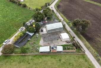 Viveros fortalecerán la reforestación en Cundinamarca