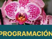 XXII Exposición de Orquídeas en Fusagasugá