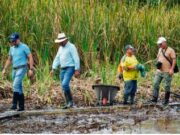 Acciones impulsan seguridad hídrica