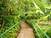 Bogotá invita a conectarse con la naturaleza