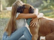 Mosquera promueve bienestar y adopción animal