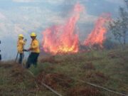 Autoridad ambiental pide medidas urgentes para proteger el abastecimiento de agua