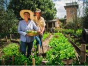 Emprendimientos sostenibles podrán acceder al Sello Nacional de Negocios Verdes