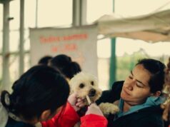Jornada benefició a 63 animales en Soacha