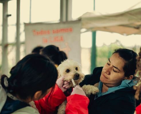 Jornada benefició a 63 animales en Soacha