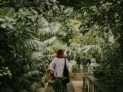 Las colecciones vivas del Jardín Botánico ayudan a proteger especies nativas