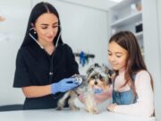 Perros y gatos recibirán atención veterinaria en Tabio