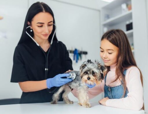 Perros y gatos recibirán atención veterinaria en Tabio