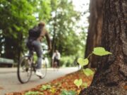 Sopó realiza Semana de la Movilidad con actividades gratuitas