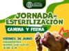Abren 200 cupos para jornadas de esterilización canina y felina en Madrid