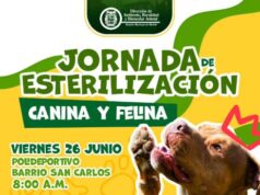 Abren 200 cupos para jornadas de esterilización canina y felina en Madrid