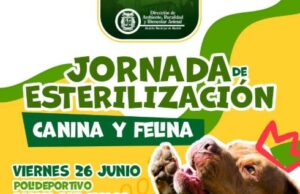 Abren 200 cupos para jornadas de esterilización canina y felina en Madrid