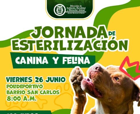 Abren 200 cupos para jornadas de esterilización canina y felina en Madrid