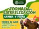 Abren 200 cupos para jornadas de esterilización canina y felina en Madrid