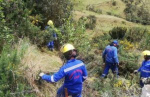 CAR destaca compensaciones ambientales como escudo frente a la crisis climática