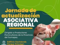 Fusagasugá acogerá encuentro regional del sector porcícola