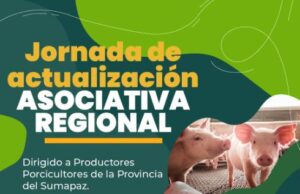 Fusagasugá acogerá encuentro regional del sector porcícola