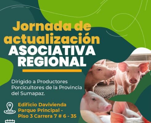 Fusagasugá acogerá encuentro regional del sector porcícola