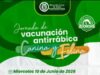 Madrid mantiene jornadas de vacunación animal