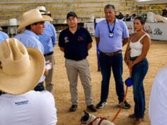 Más de 1.000 animales atendidos en Fusagasugá y La Mesa