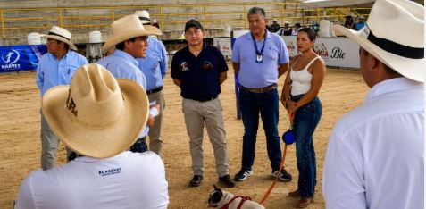 Más de 1.000 animales atendidos en Fusagasugá y La Mesa
