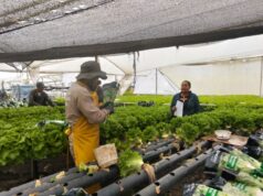 Productores de Madrid reciben kits agroclimáticos para monitoreo de cultivos