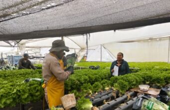 Productores de Madrid reciben kits agroclimáticos para monitoreo de cultivos