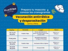 Sopó programa vacunación y desparasitación de mascotas