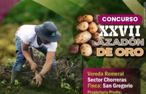 Tradición papera se vive este 19 de junio en Sibaté