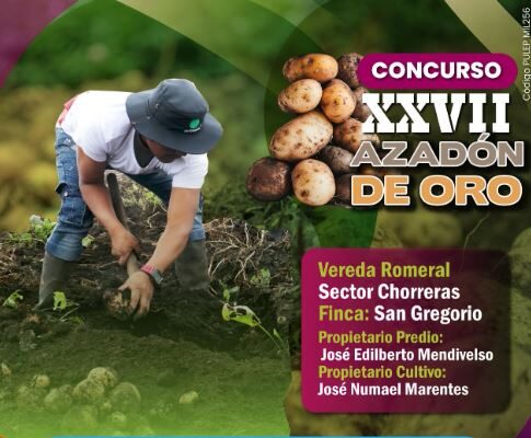 Tradición papera se vive este 19 de junio en Sibaté