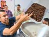 455 cacaoteros de Cundinamarca recibirán apoyo para mejorar sus cultivos