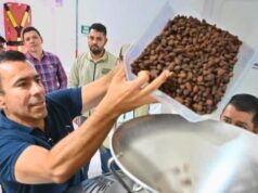 455 cacaoteros de Cundinamarca recibirán apoyo para mejorar sus cultivos