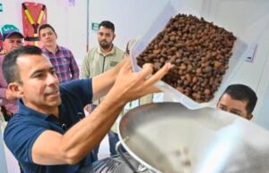 455 cacaoteros de Cundinamarca recibirán apoyo para mejorar sus cultivos