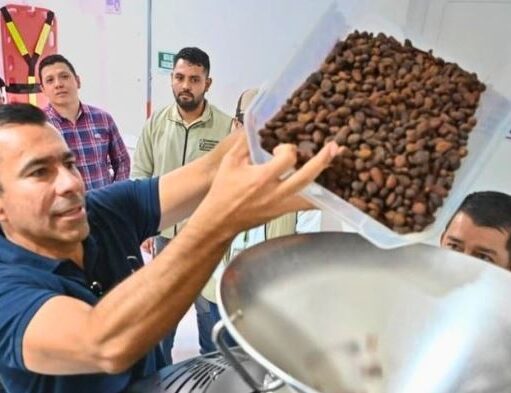 455 cacaoteros de Cundinamarca recibirán apoyo para mejorar sus cultivos