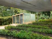 CAR fortalece la restauración ecológica con viveros de árboles nativos