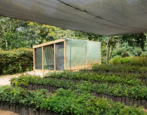 CAR fortalece la restauración ecológica con viveros de árboles nativos