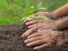 Cajicá fortalece la cultura ambiental con jornada de sensibilización