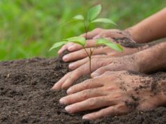 Cajicá fortalece la cultura ambiental con jornada de sensibilización