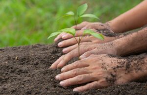Cajicá fortalece la cultura ambiental con jornada de sensibilización